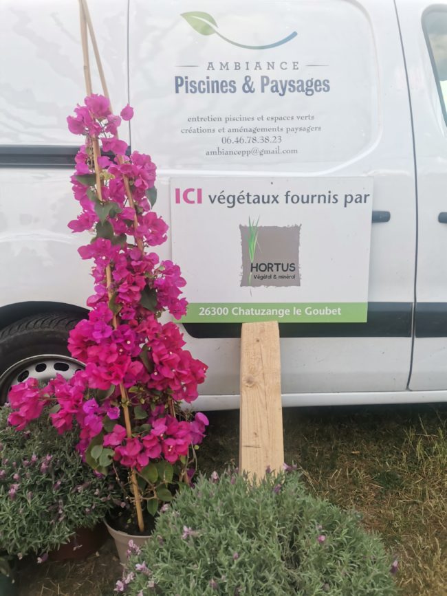 Plantation printanière